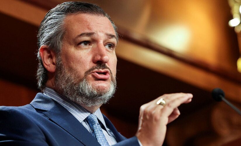 Cruz fights DC push to let illegal immigrants vote with bill to withhold federal funding