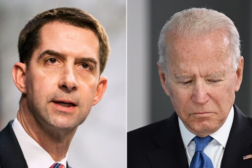 Cotton sides with Biden on granting immunity to Saudi crown prince