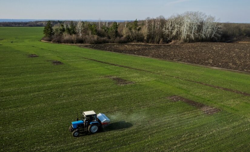 Netherlands reportedly set to forcibly close 3,000 farms to comply with EU mandate
