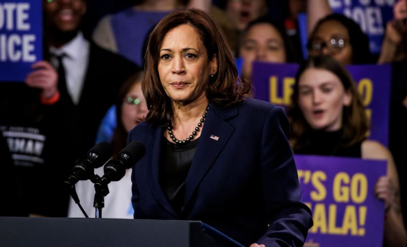 Kamala Harris says ‘democracy is intact’ after Democrats warned ‘democracy is on the ballot’