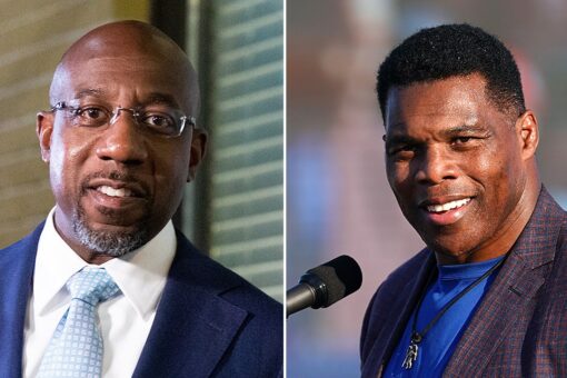 Democrats sue to open Georgia early voting on Saturday after Thanksgiving, despite voting law