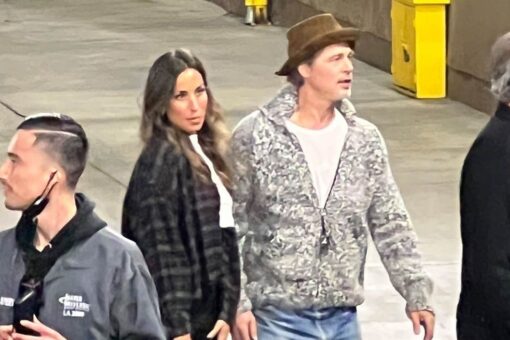 Brad Pitt cozies up to new romantic interest who he’s been dating a ‘few months’: He ‘is really into her’