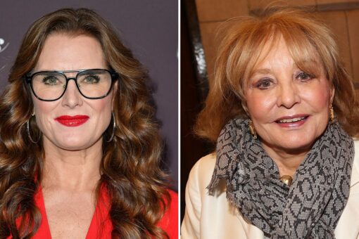 Brooke Shields commiserates with Drew Barrymore after feeling ‘taken advantage of’ by Barbara Walters