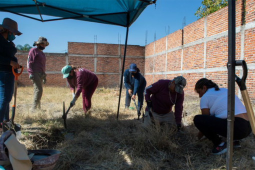 Dog carrying severed hand leads to more than 50 bags of human remains found in Mexican state