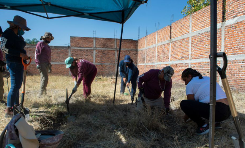 Dog carrying severed hand leads to more than 50 bags of human remains found in Mexican state