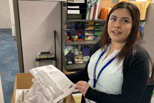 State investigators strained with growing piles of election complaints