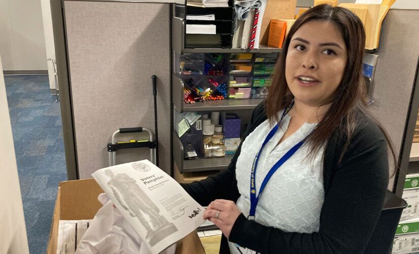State investigators strained with growing piles of election complaints