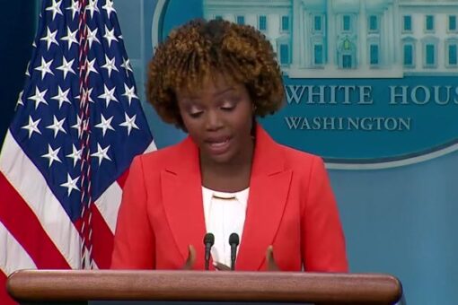 White House dismisses visiting southern border as ‘political stunt’ for Republicans