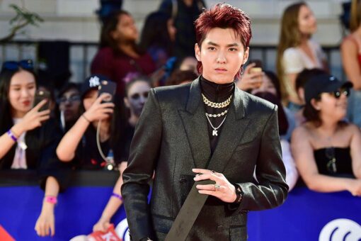 China sentences Chinese-Canadian pop star Kris Wu to 13 years for sex crimes