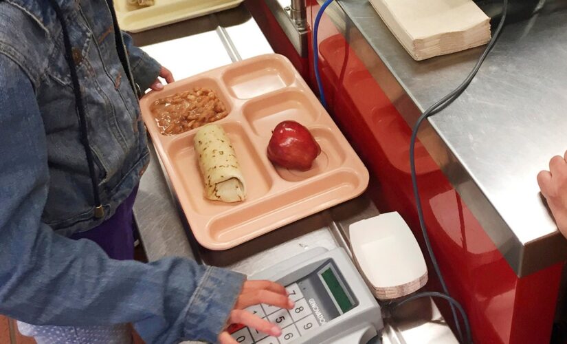 USDA hopes $50M can make school lunch more ‘appetizing,’ ‘appealing’