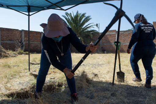 Mexican searchers exhume 53 bags of human remains after dog is spotted carrying human hand