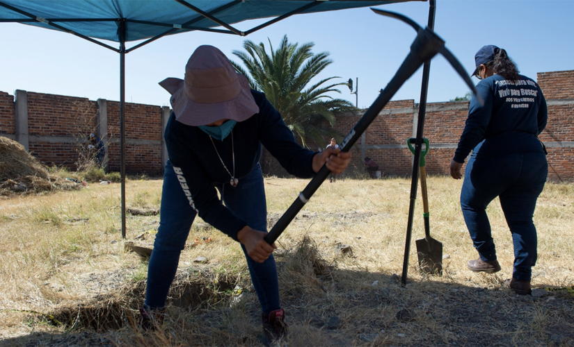 Mexican searchers exhume 53 bags of human remains after dog is spotted carrying human hand