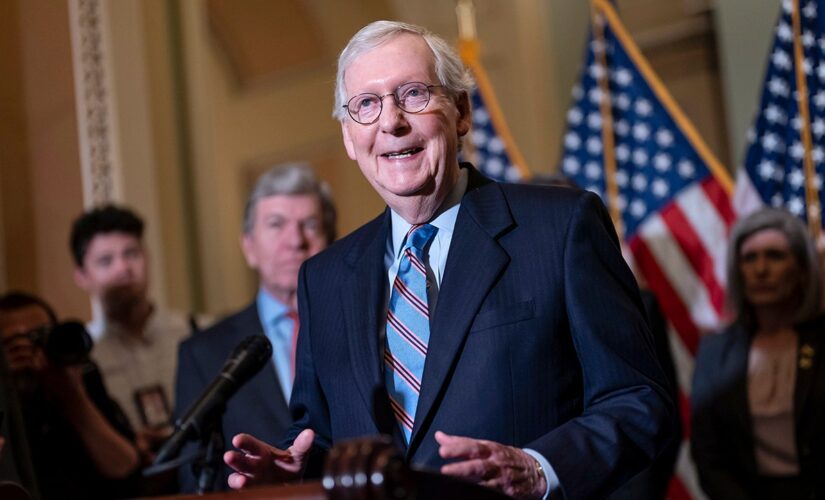 Conservative groups push Senate to delay leadership elections as frustration with McConnell grows