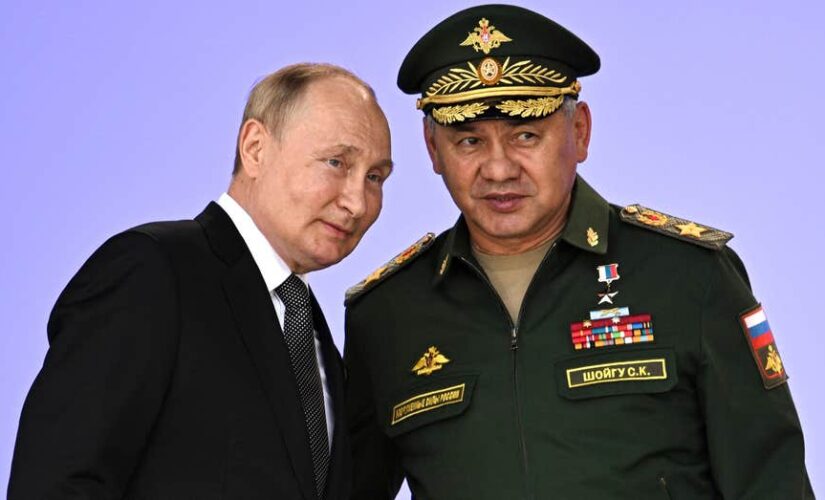 Putin to skip Indonesia G20 summit due to assassination fear: Report