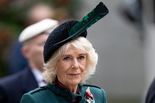 Queen Consort Camilla visits Field of Remembrance to honor soldiers who lost their lives in war