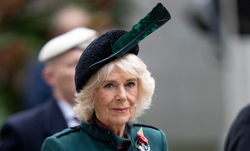 Queen Consort Camilla visits Field of Remembrance to honor soldiers who lost their lives in war