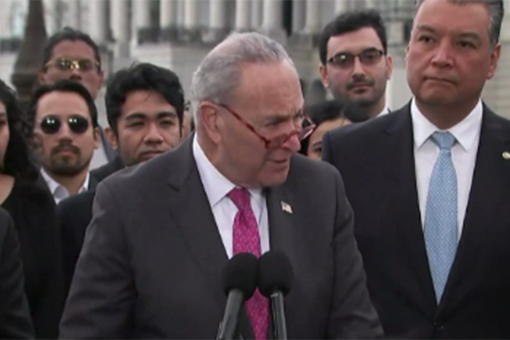 Democrats fire up push for DACA amnesty in lame duck session before GOP takes House