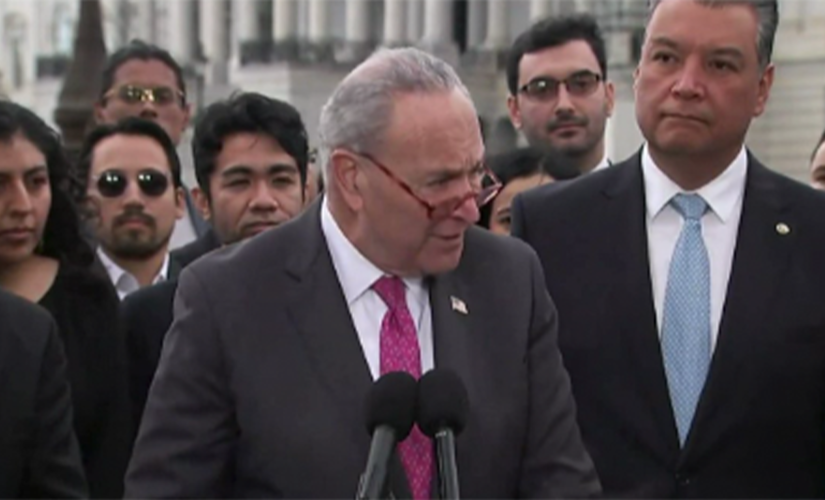 Democrats fire up push for DACA amnesty in lame duck session before GOP takes House