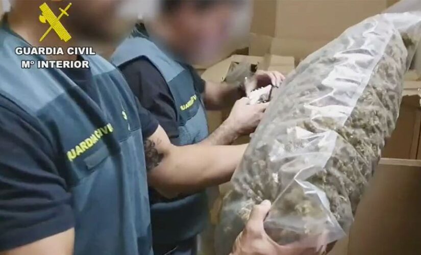 Spanish Civil Guard seizes ‘largest stash of marijuana discovered’