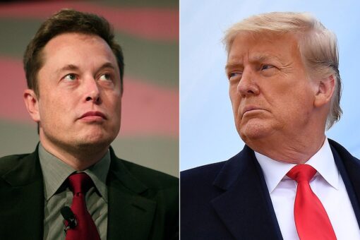 Elon Musk says Trump will be reinstated to Twitter after more than 15 million users voted in poll
