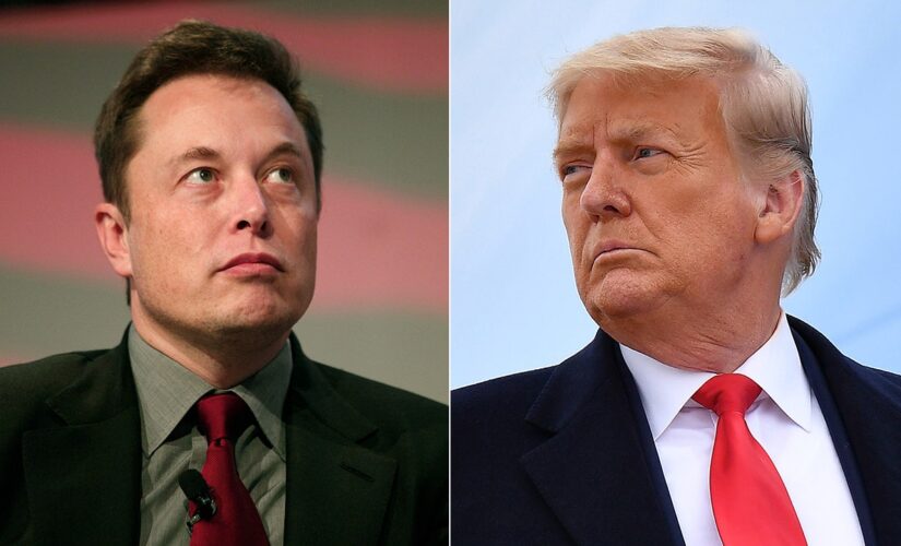 Elon Musk says Trump will be reinstated to Twitter after more than 15 million users voted in poll