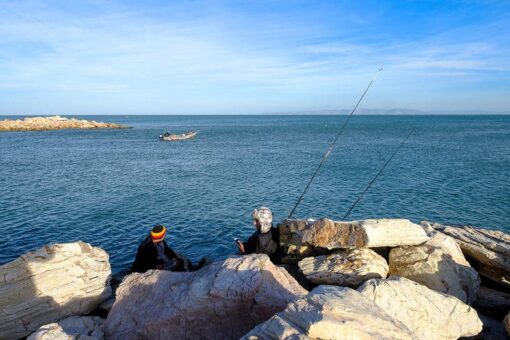 Mediterranean’s fast-warming waters threaten coastal livelihoods
