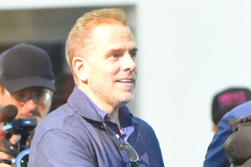 Hunter Biden seen at ritzy NYC art gallery selling his paintings for up to $200k, despite ethics concerns