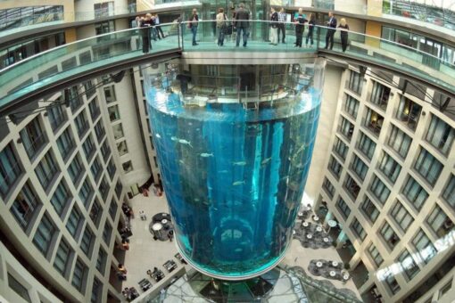 Berlin aquarium bursts: Official reveals ‘first indications’ of what caused massive rupture
