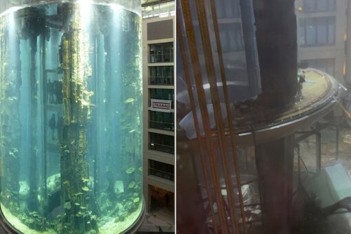 Massive Berlin aquarium with 1,500 fish bursts, injuring 2 and flooding hotel with 260K gallons of water