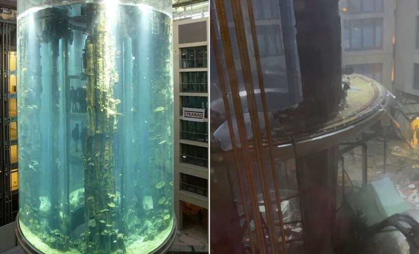 Massive Berlin aquarium with 1,500 fish bursts, injuring 2 and flooding hotel with 260K gallons of water