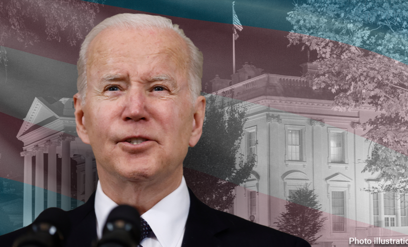 Biden political appointees to HIV council have ‘woke’ pasts tied to drag queen story hour, Planned Parenthood