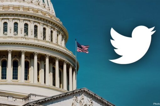 Elon Musk confirms political candidates were subject to ‘shadow-banning’ by Twitter