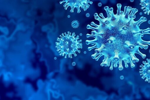 COVID-19 XBB variant: What to know