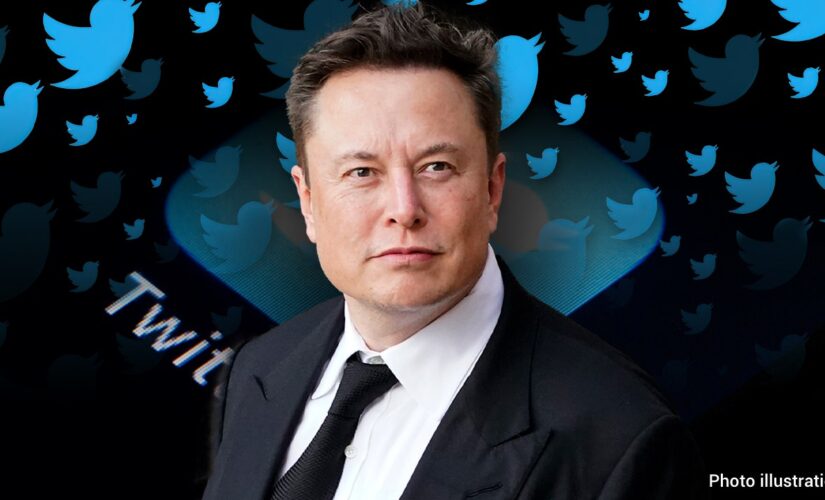 Musk teases ‘Round 2’ of Twitter files showing company suppressed Hunter Biden laptop