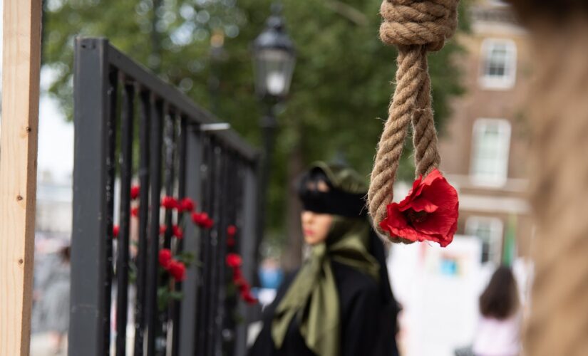 Iran executes first protester since nationwide women’s rights demonstrations began