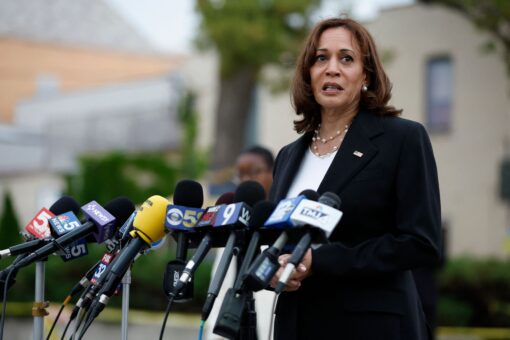 Kamala Harris attends secretive gathering of influential Democratic donors who help steer liberal agenda