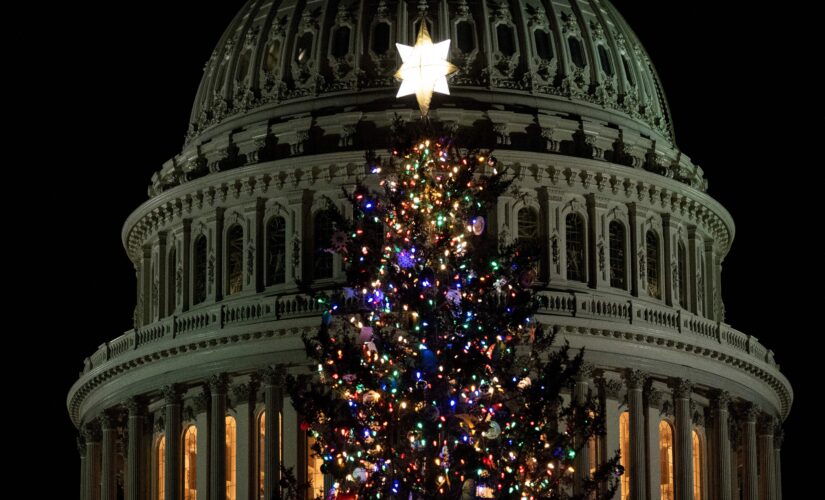 Congressional Christmas crunch