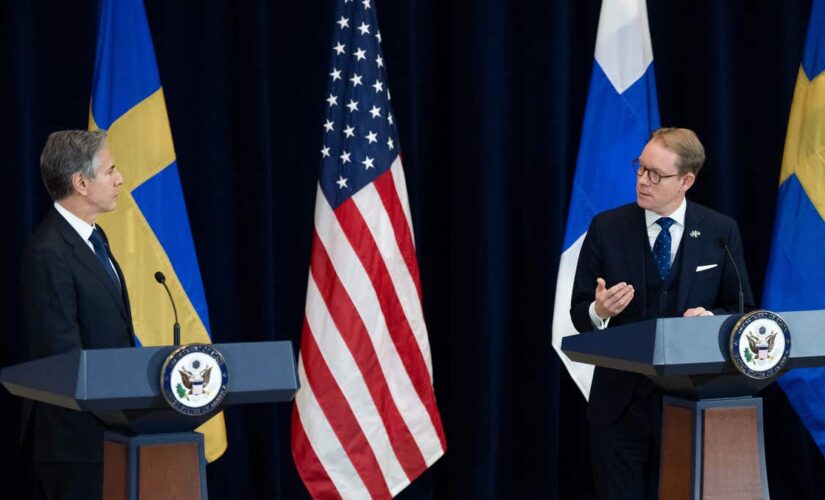 Sweden touts nuclear energy as remedy to Russian dependence, high prices: ‘a dire situation’