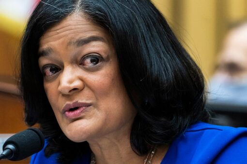 Democrats push firearms purchasing ban for people who voluntarily give up their 2A rights
