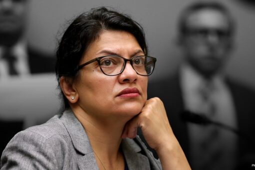 Rashida Tlaib, Ro Khanna join protests against expedited oil lease permitting