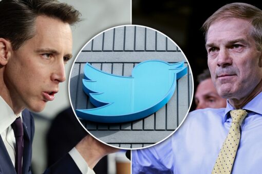 GOP lawmakers respond to latest ‘Twitter Files’ detailing Trump’s ban, vow Big Tech will ‘be held accountable’