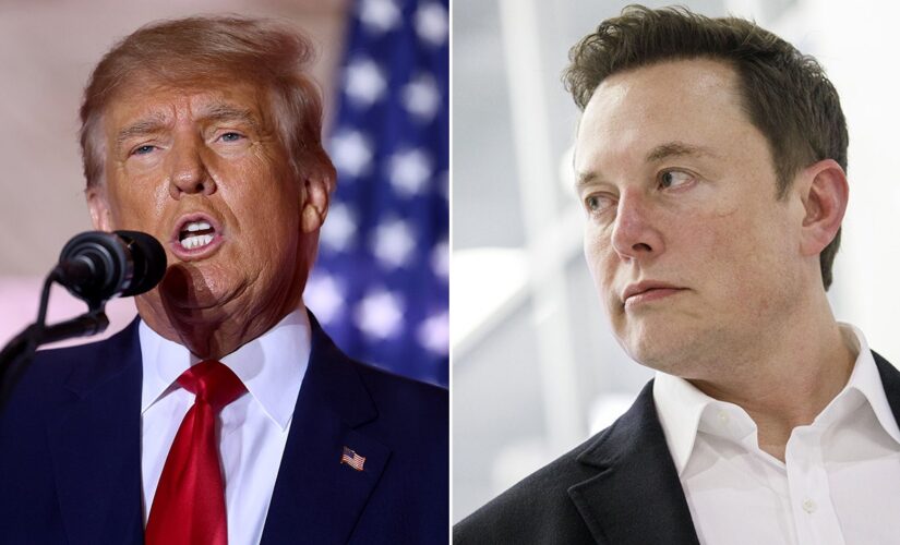 Elon Musk says ‘election interference’ by social media companies ‘is wrong,’ undermines democracy