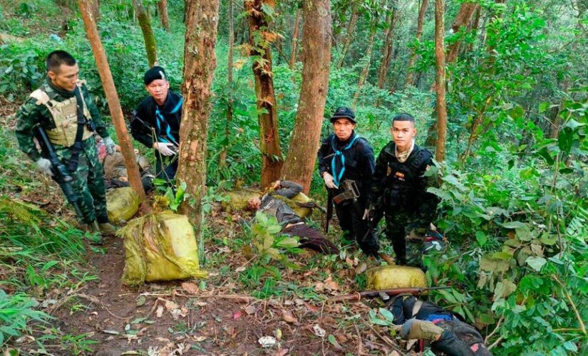 Thai border patrol kill 15 suspected drug smugglers