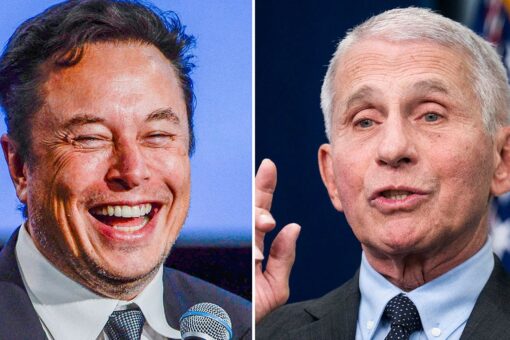Elon Musk tweets that his pronouns are ‘Prosecute/Fauci’