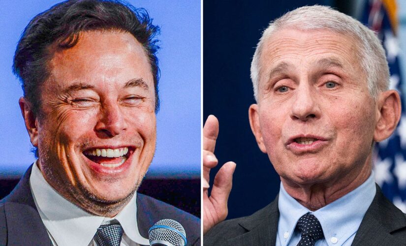 Elon Musk tweets that his pronouns are ‘Prosecute/Fauci’