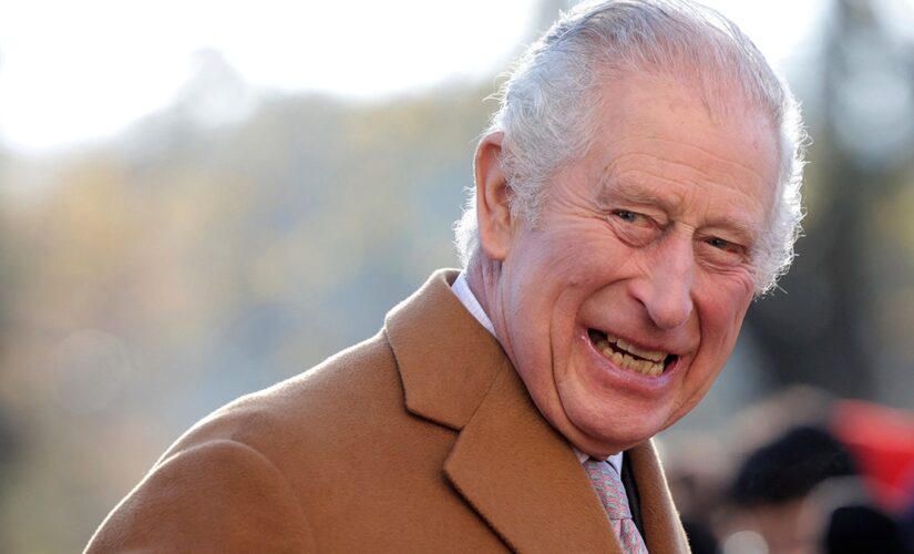 King Charles III allegedly has egg hurled toward him, suspect arrested