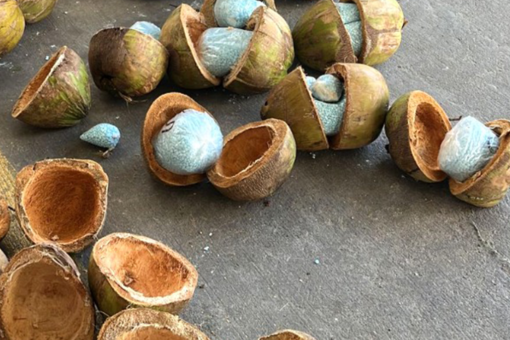 Mexican police seize over 600 pounds of fentanyl stuffed coconuts from truck near border