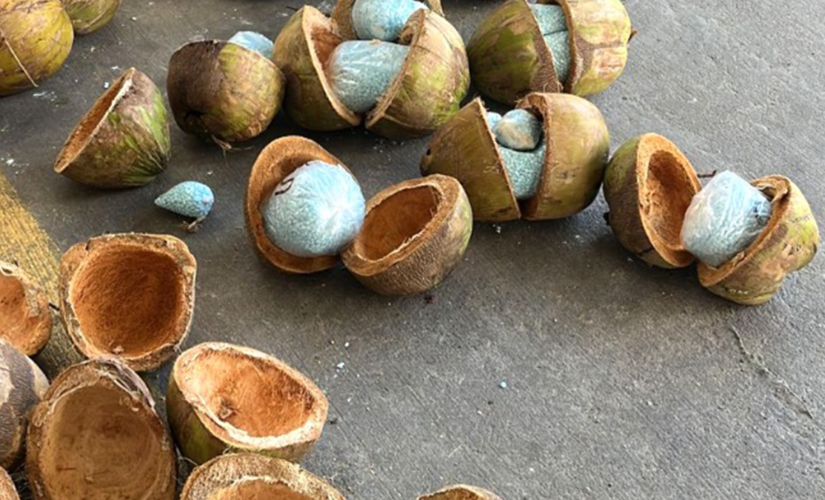 Mexican police seize over 600 pounds of fentanyl stuffed coconuts from truck near border