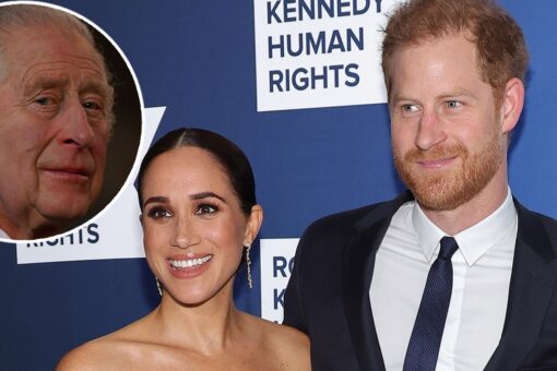 Meghan Markle, Prince Harry’s new doc slammed by experts: They’re ‘only given a platform’ due to prince’s DNA