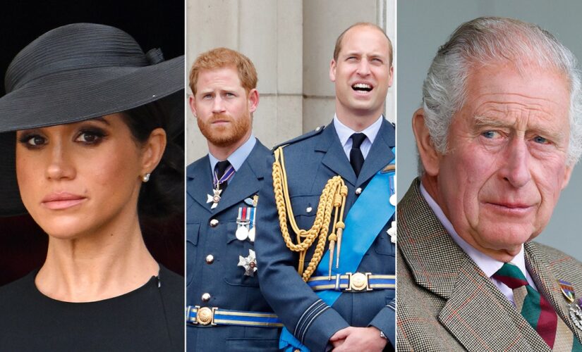 Royal Flush: Prince Harry slams family, Meghan Markle’s half siblings slam her